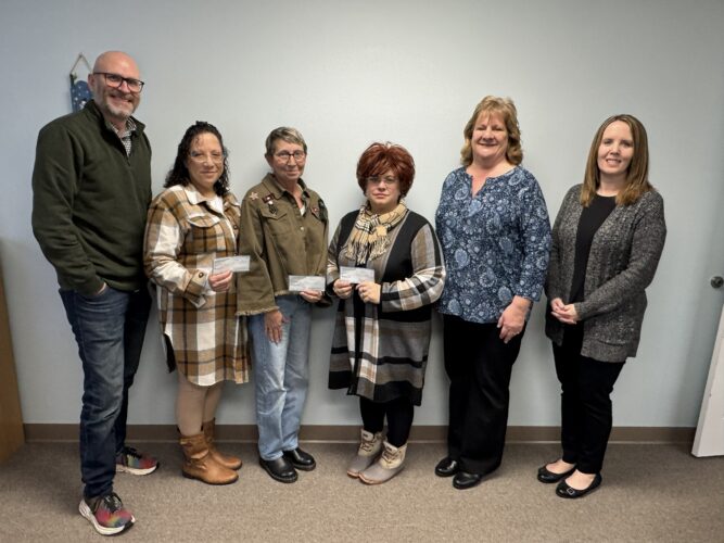 Health, welfare council awards grants